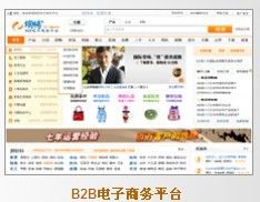 b2b門戶網站系統