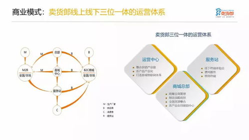賣貨郎啟動赴美上市計劃 想成為 三農 電商第一股