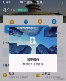 監獄能用支付寶 王欣社交新品 ai芯片麒麟980 地平線b輪融40億